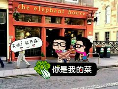 -大象咖啡馆