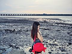 -宝安西湾红树林湿地公园