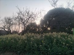 -望海·帆船主题咖啡厅•品茗下午茶(石湖景区店)
