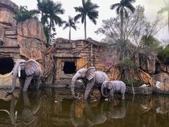 -美的鹭湖探索王国