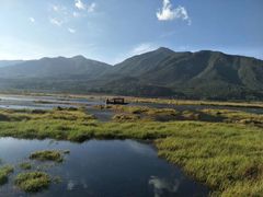 -腾冲北海湿地