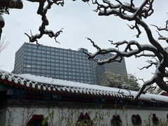 -月坛公园
