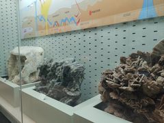 -浙江自然博物院(杭州馆)