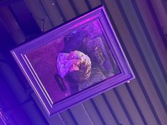 -陕西科学技术馆