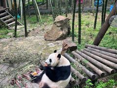 -天目湖御水温泉·度假酒店