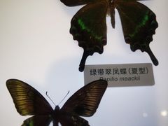 -中国湿地博物馆