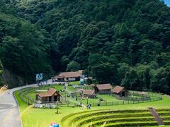 -龙岩森林水乡景区