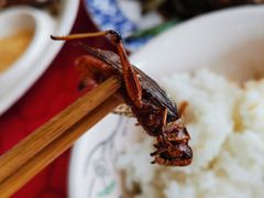 -韵之源农家菜(北京1店)