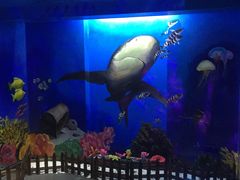 -船奇蒸汽海鲜·闽菜(八市海鲜总店)