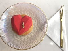 -Husky Go! 哈士奇体验馆·宠物咖啡厅狗咖