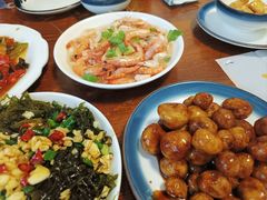 -大树下饭店(春晓镇慈岙社区卫生服务站南)