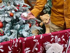 -HERRE·FARM 赫尔露营农场·团建聚会包场