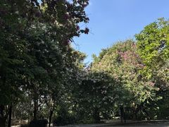 -水濂山森林公园