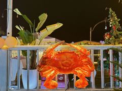 -望海观澜海景音乐餐吧(帆船基地店)