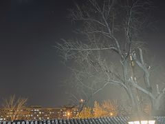 -Sirena海妖日咖夜酒