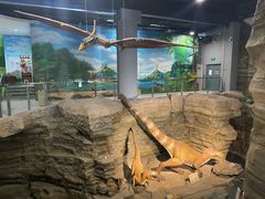 -辽宁古生物博物馆