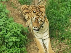 -大连森林动物园