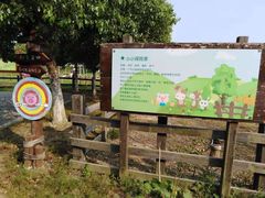 -田园东方蜜桃村的田野营地