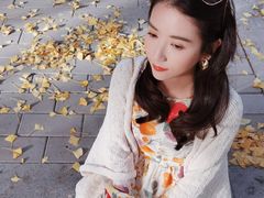 -三里屯东五街银杏大道