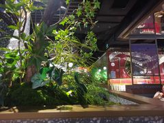 -鲜潭蒸汽石锅鱼(五道口购物中心店)