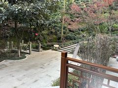 -十八棵（老龙井）御茶园(老龙井店)