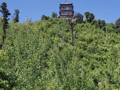 -邛海风味特色菜馆