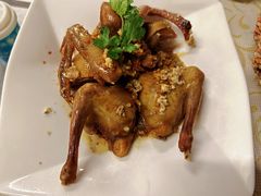 -百利鸽王(紫薇路店)