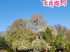 -天津自然博物馆