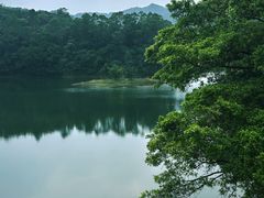 -佛山市三水区大南山森林公园