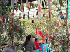 -呀路古热带植物园
