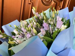 -奔驰利星行(北京花乡店)