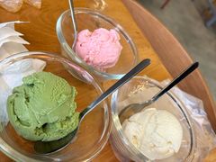 -MT麦如麦立送(五矿live店)