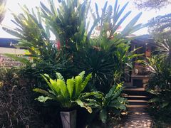 -Ohkajhu Organic Farm Sansai