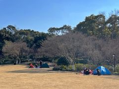 -上海方塔园