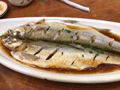 清蒸鲜白鱼-西新饭店(城中店)