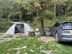 -武陵山森林公园