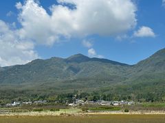 -腾冲北海湿地