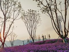 -金海湾滨江公园