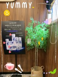 -东森自然美.INDIBA.美容SPA.皮肤管理