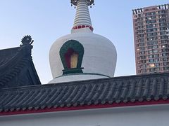 -西塔