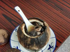 原只椰子炖竹丝鸡-達揚原味燉品(文明路店)