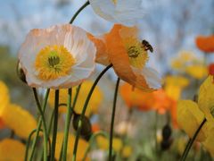 -名花谷生态庄园