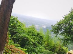 -莫干山风景区