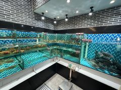 -农汤老店(顺联公园里店)