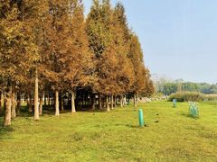 -滨湖塘西河公园