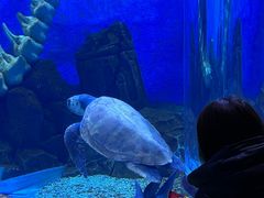 -波塞冬旅游度假区