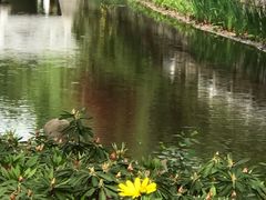 -兰溪青年公园