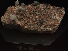 -正佳自然科学博物馆