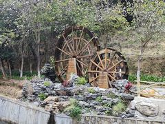 -广州白江湖森林公园