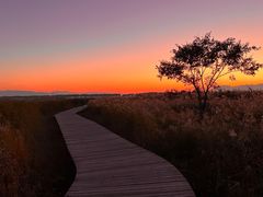 -野鸭湖国家湿地公园